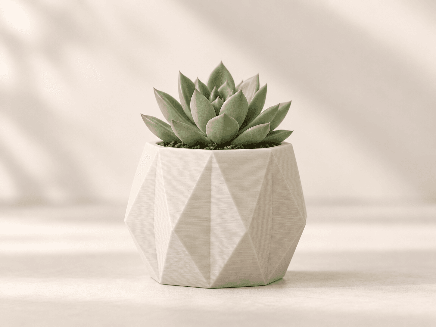 Planters & Organizers